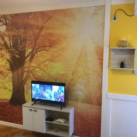 Tina Sajam Studio Novi Sad Exteriér fotografie