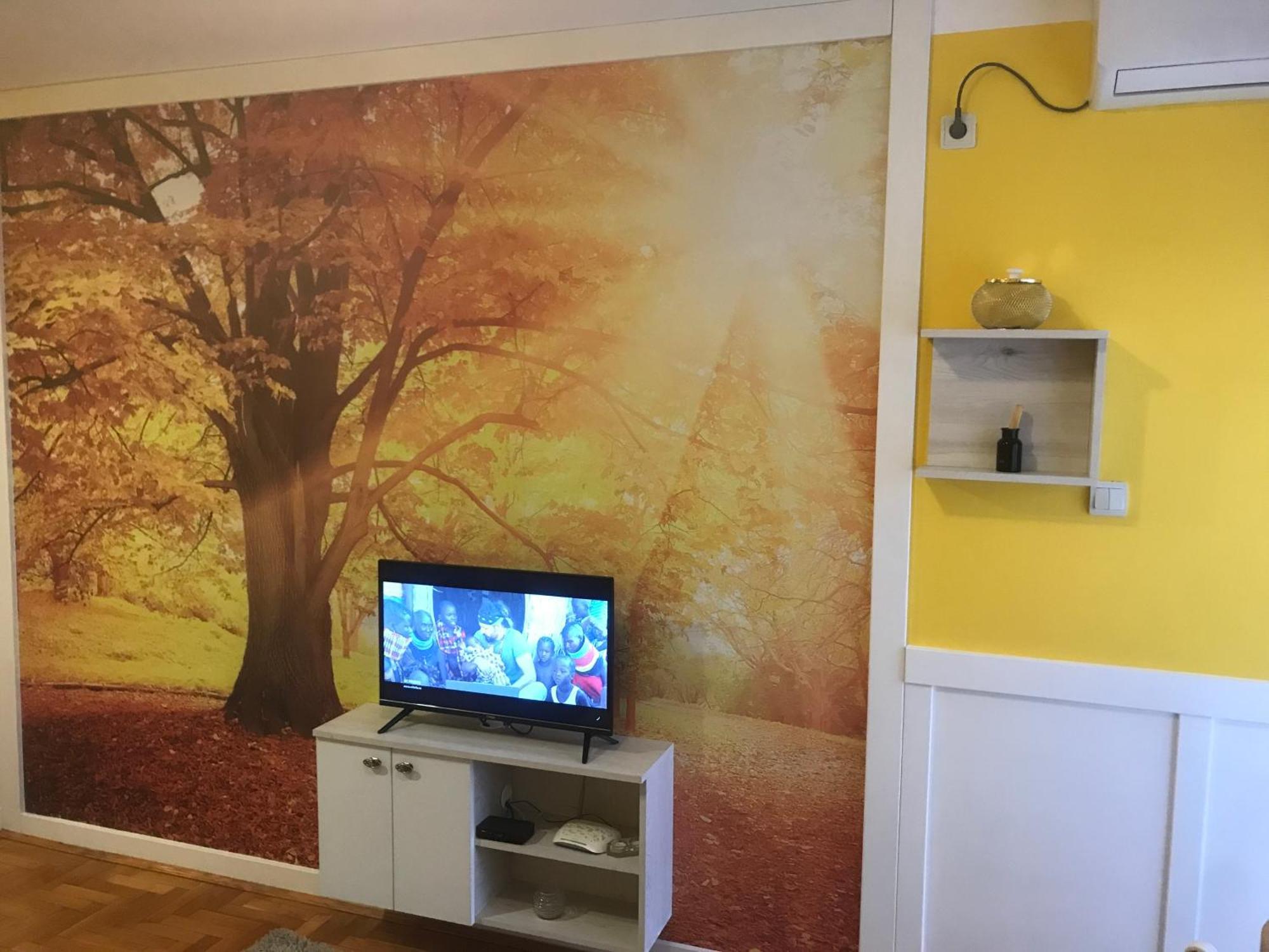 Tina Sajam Studio Novi Sad Exteriér fotografie