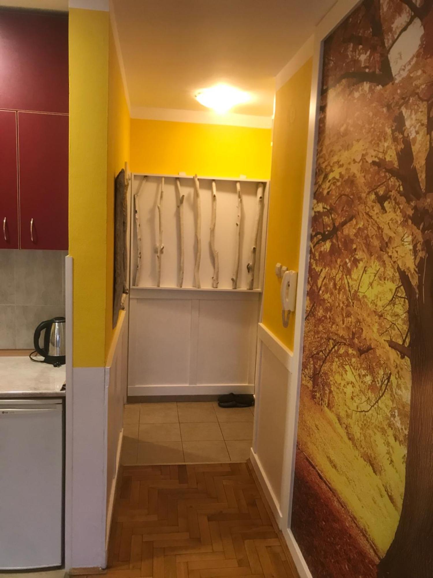Tina Sajam Studio Novi Sad Exteriér fotografie