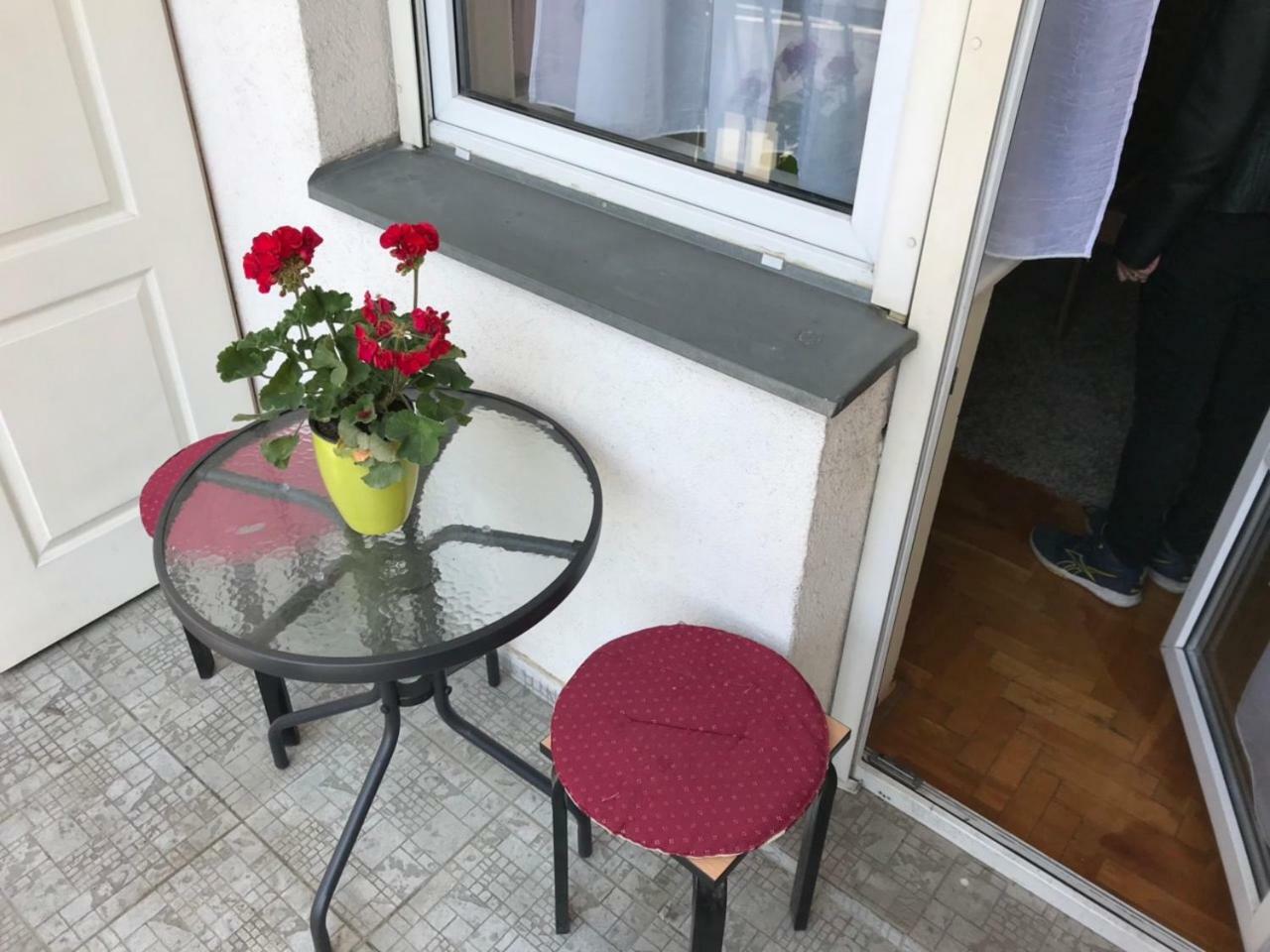 Tina Sajam Studio Novi Sad Exteriér fotografie